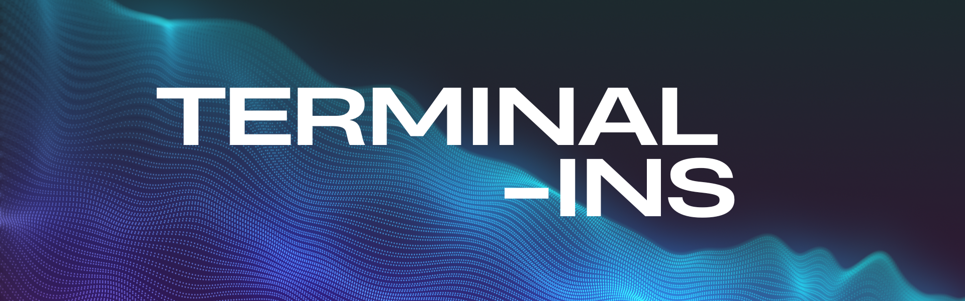 Terminal-ins Banner